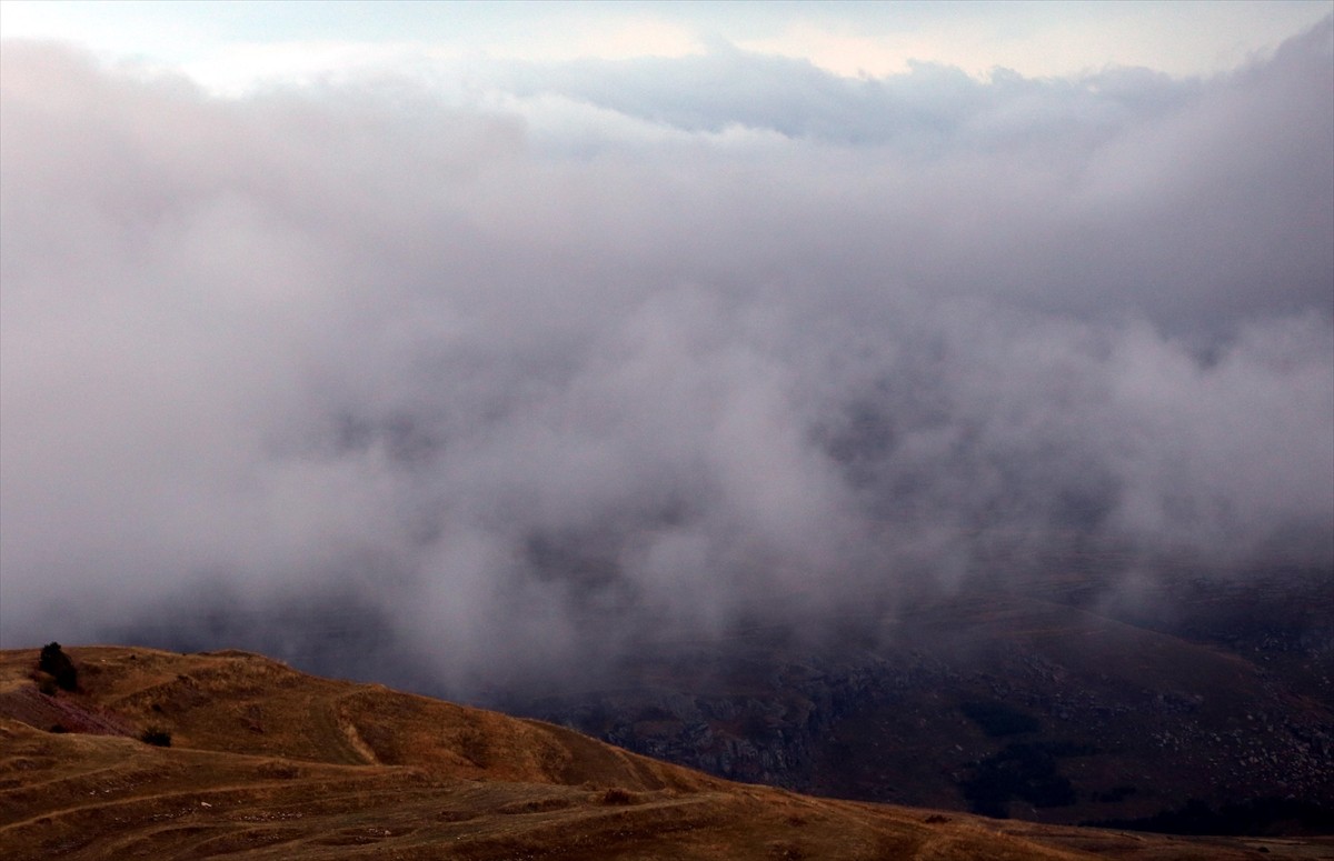 Ardahan'da sis ve sağanak etkili oldu. Sis özellikle Türkgözü Gümrük Kapısı'na geçiş sağlayan...