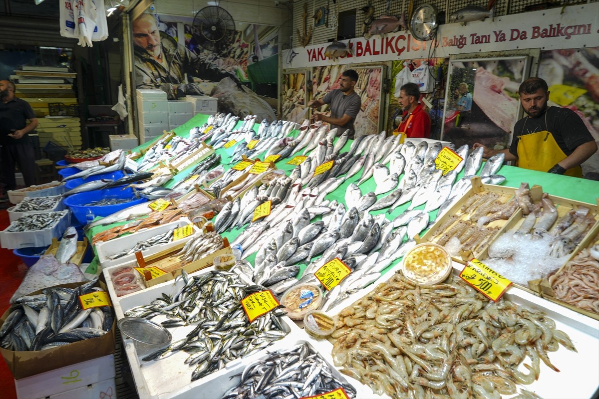 Av yasağının 1 Eylül'de sona ermesiyle İstanbul'da tezgahları taze balıkla dolan balıkçılar, bu...