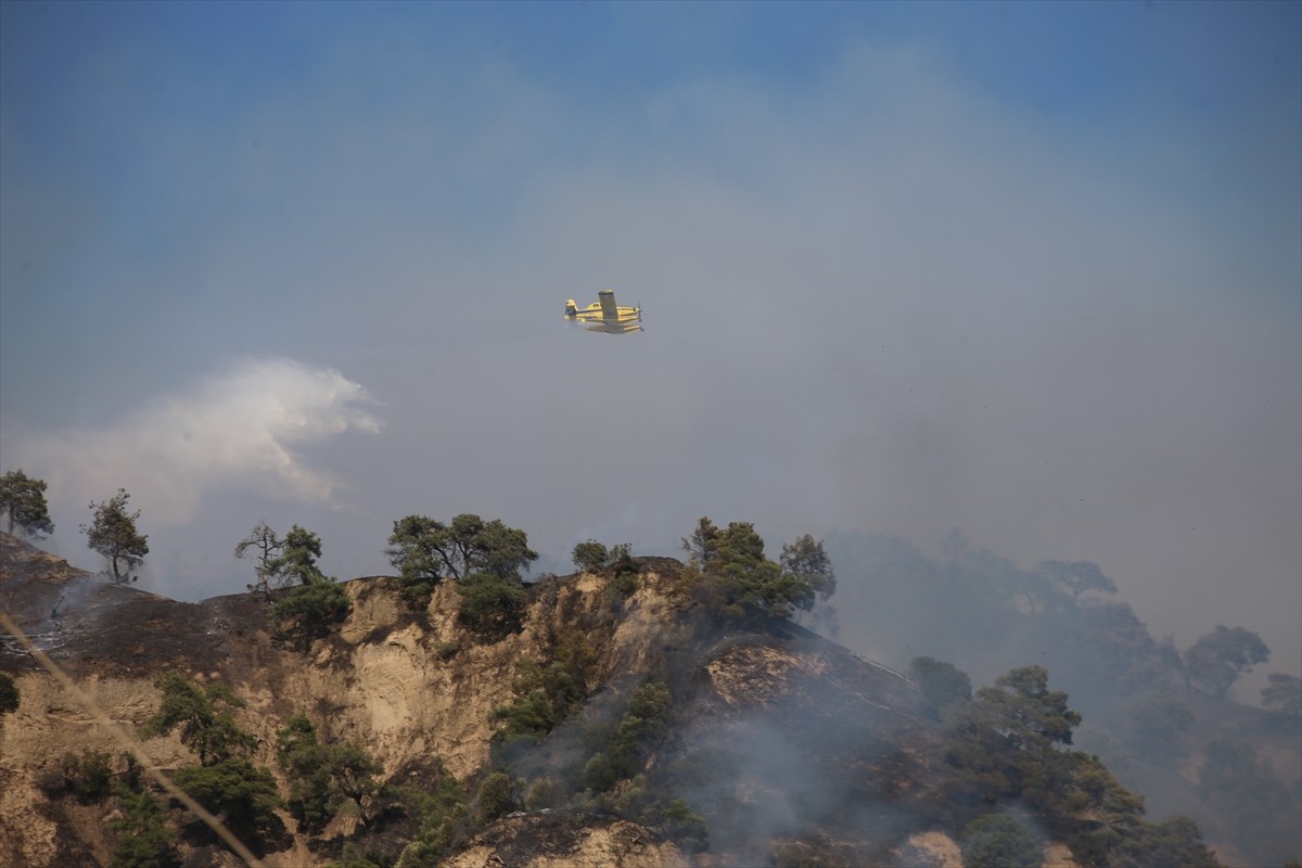Aydın'ın Efeler ilçesinde zeytinlik ve ormanlık alanda çıkan yangına havadan ve karadan müdahale...