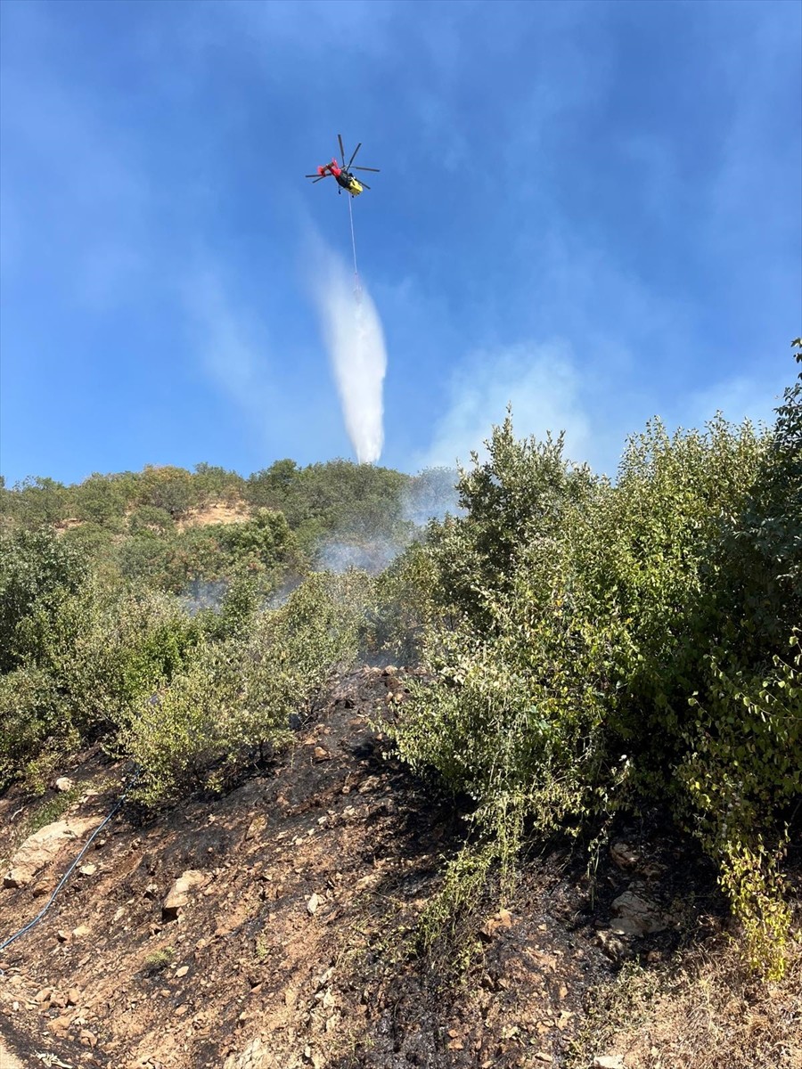Aydın'ın Kuyucak ilçesinde makilikte çıkan yangın havadan ve karadan müdahaleyle kontrol altına...