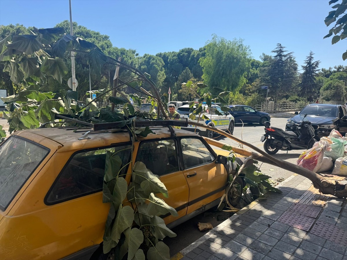 Aydın'ın Söke ilçesinde, kırılan bir ağaç dalı park halindeki bir otomobilin üzerine devrildi....