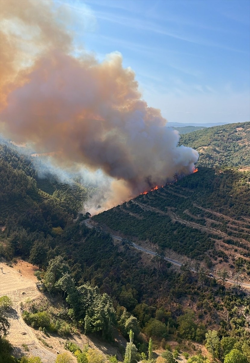 Balıkesir'in Kepsut ilçesinde bir aracın kaza yapmasıyla başlayıp ormanlık alana sıçrayan yangına...