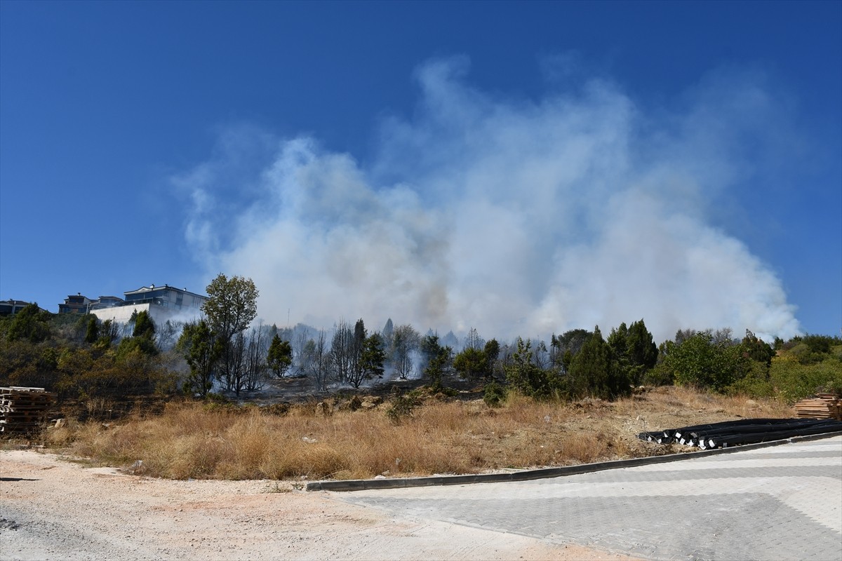 Bilecik'te, kent merkezindeki ağaçlık arazide çıkan yangın havadan ve karadan müdahaleyle kontrol...