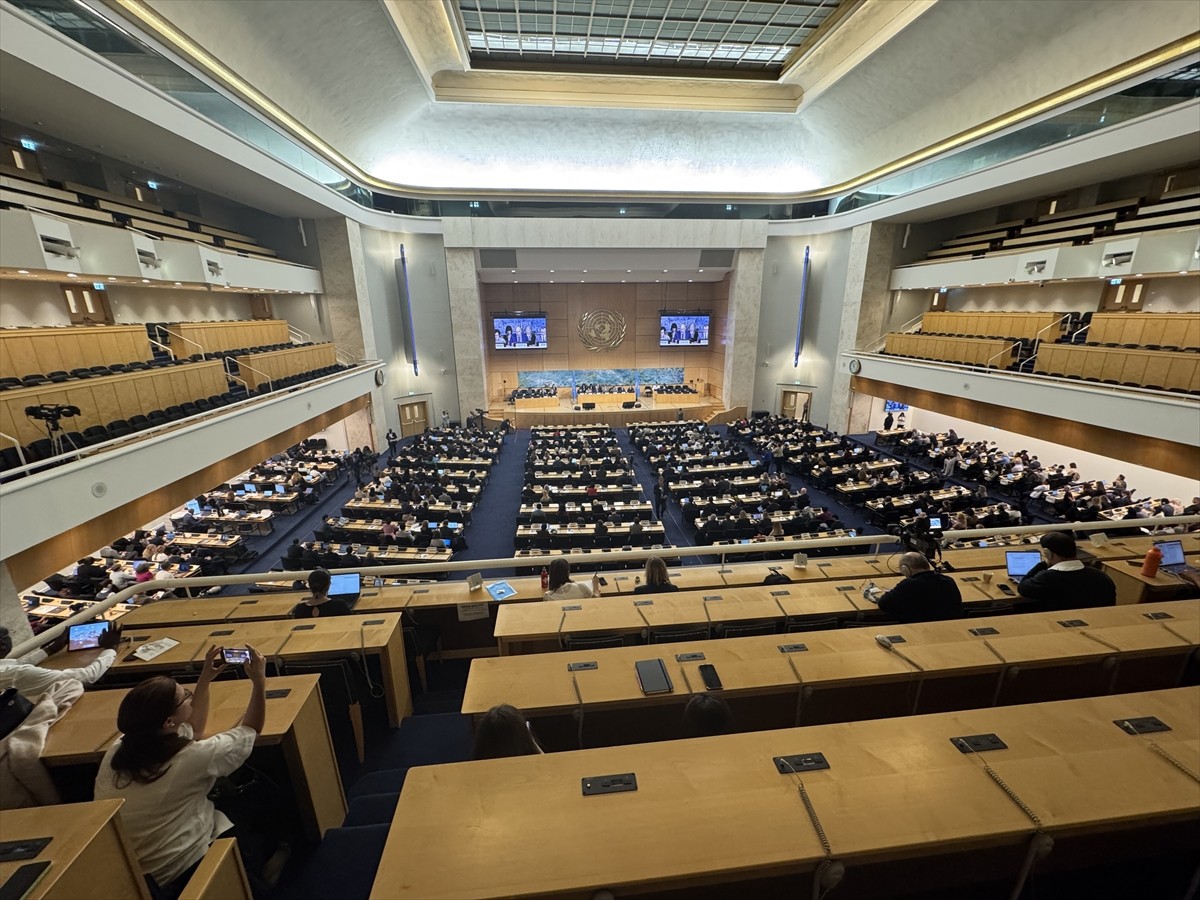 Birleşmiş Milletler (BM) İnsan Hakları Konseyi'nin (İHK) 60'ıncı Oturumu, BM Cenevre Ofisi'nde...