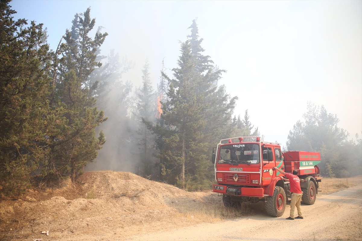 Bursa'nın Osmangazi ilçesinde ormanlık alanda çıkan yangın kontrol altına alınmaya...