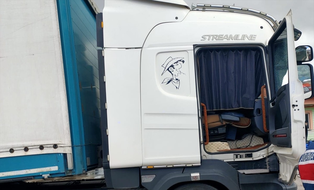 Çorum'da tır şoförü, park halindeki aracında ölü bulundu.