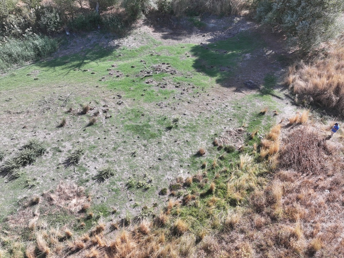 Edirne'de merkeze bağlı Musabeyli köyünde bulunan gölet, kuraklık ve sıcaklara bağlı yaşanan...