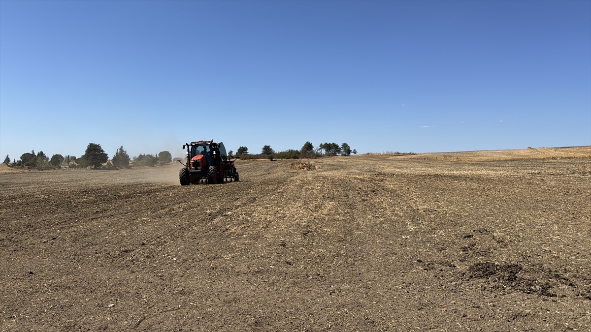 Edirne'de "Kanola Üretiminin Geliştirilmesi" projesi kapsamında çiftçilere tohum dağıtıldı. Vali...