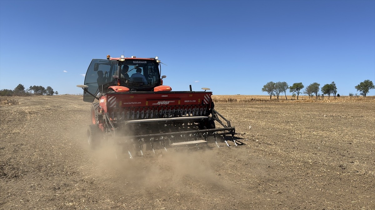 Edirne'de "Kanola Üretiminin Geliştirilmesi" projesi kapsamında çiftçilere tohum dağıtıldı. Vali...