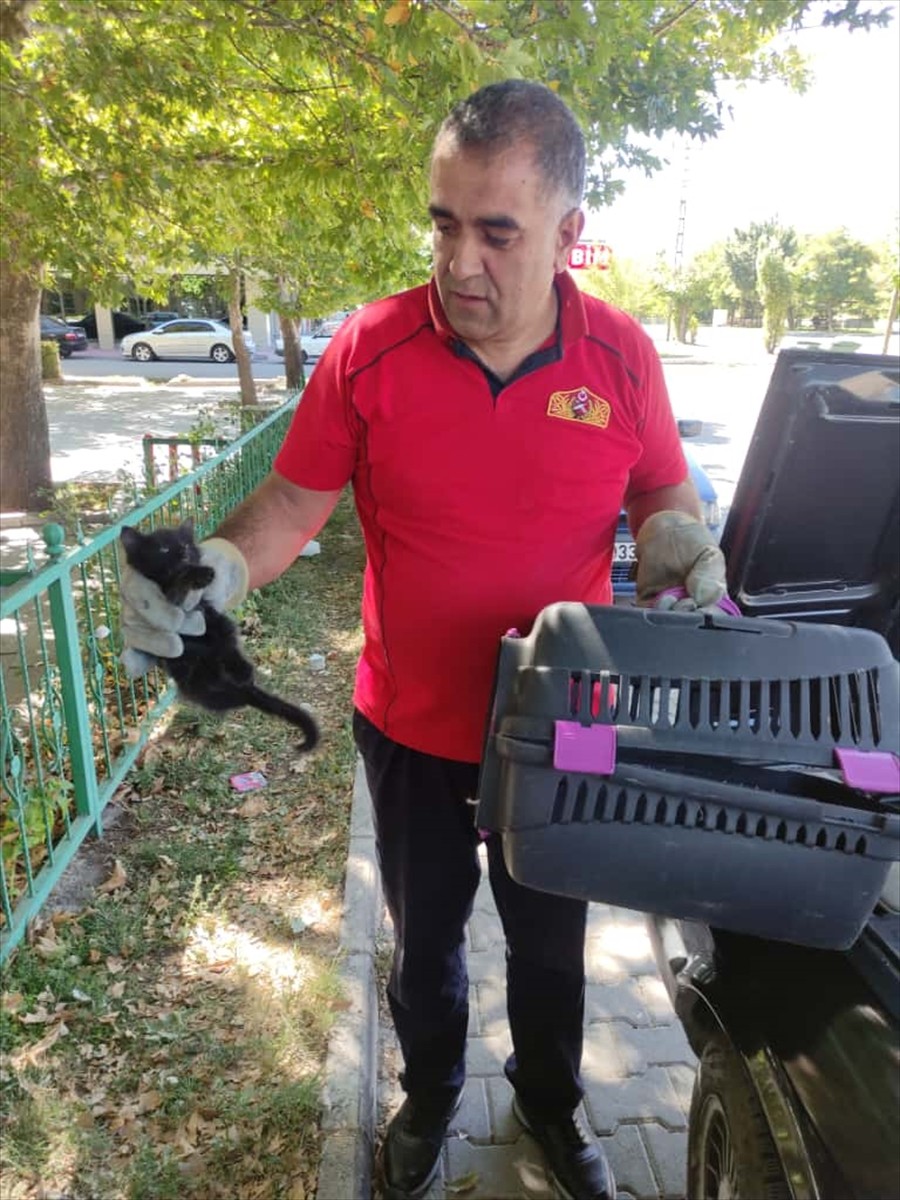 Erzincan'da bir otomobilin motor bölümüne giren kedi yavrusu, itfaiye ekiplerinin çalışmasıyla...