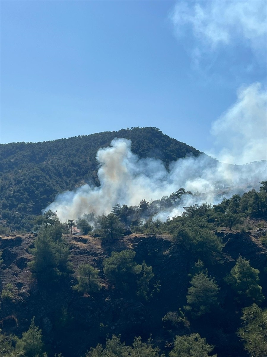 Gaziantep'in Nurdağı ilçesinde çıkan orman yangınında 1 hektar alan zarar gördü.