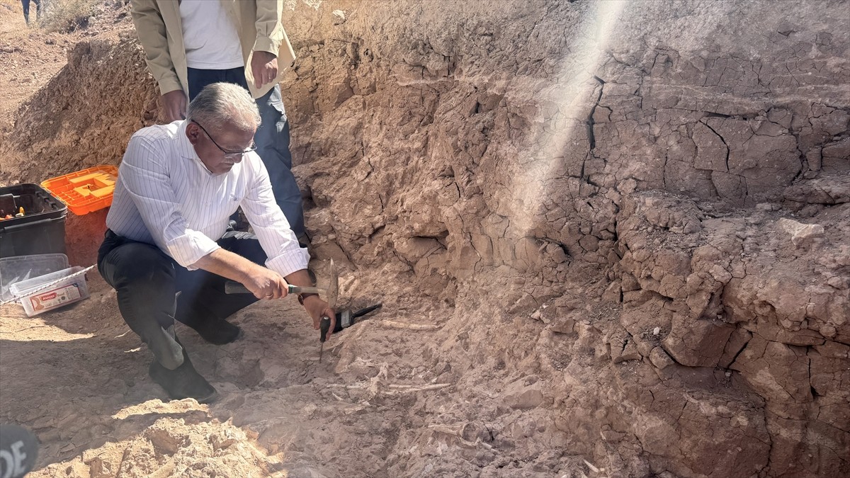 Hacı Bayram Veli Üniversitesi Edebiyat Fakültesi Antropoloji Bölümü Öğretim Üyesi Prof. Dr. Okşan...