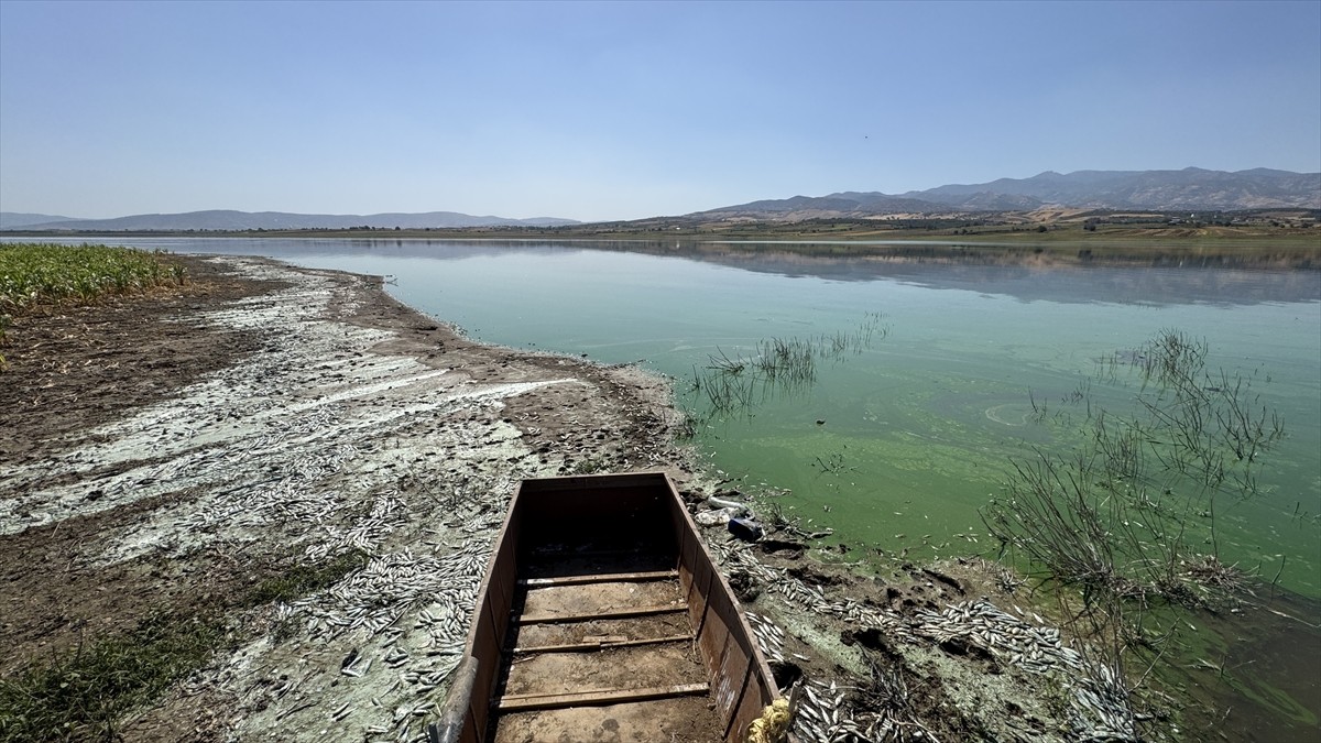 Kahramanmaraş'ın Onikişubat ilçesinde bulunan Sır Barajı'ndaki balık ölümleri...