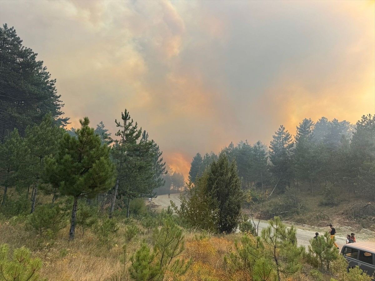 Karabük'te çıkan orman yangınını söndürme çalışmaları başlatıldı.