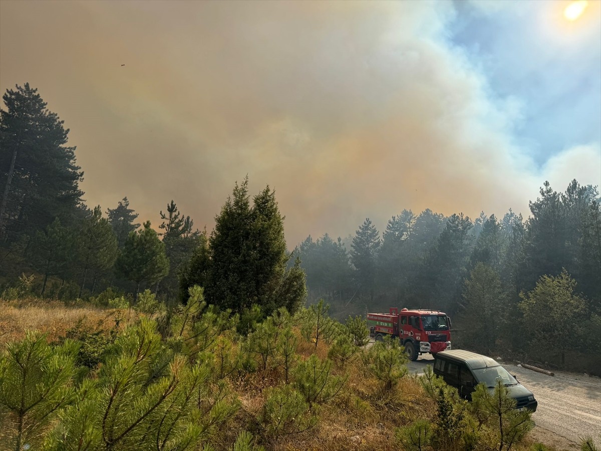 Karabük'te çıkan orman yangınını söndürme çalışmaları başlatıldı.