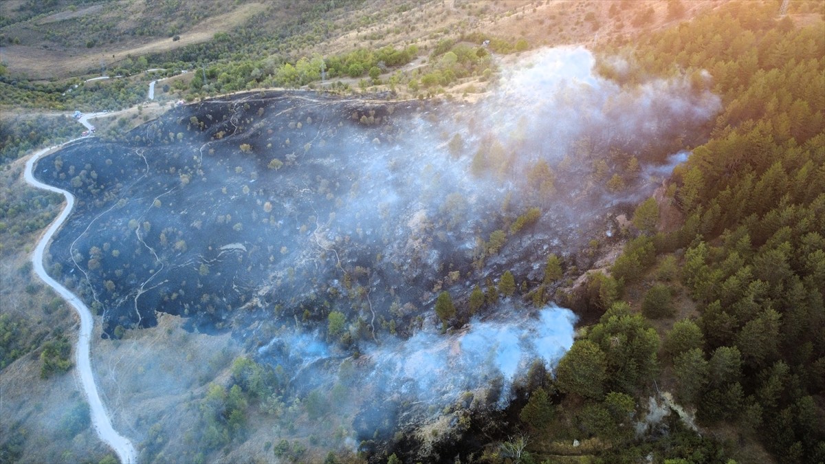 Karabük'ün Ovacık ilçesinde çıkan orman yangını havadan ve karadan müdahaleyle kontrol altına...