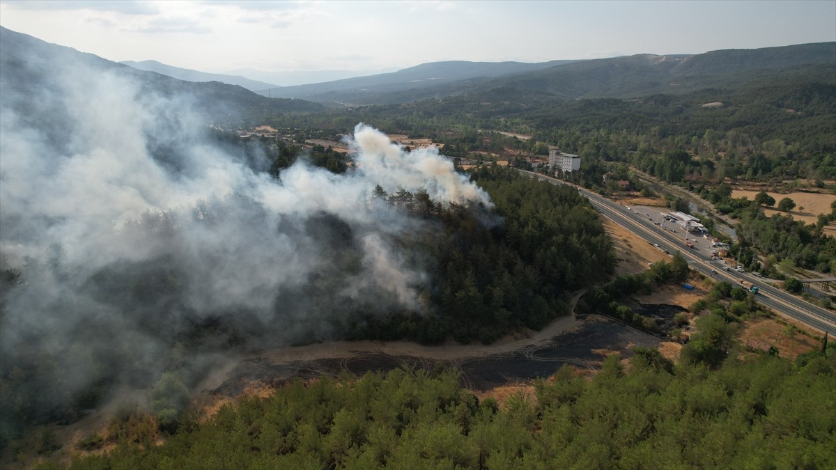Kastamonu'nun Araç ilçesi Karabük sınırında ormanlık alanda yangın çıktı. Akgeçit köyü Karasu...