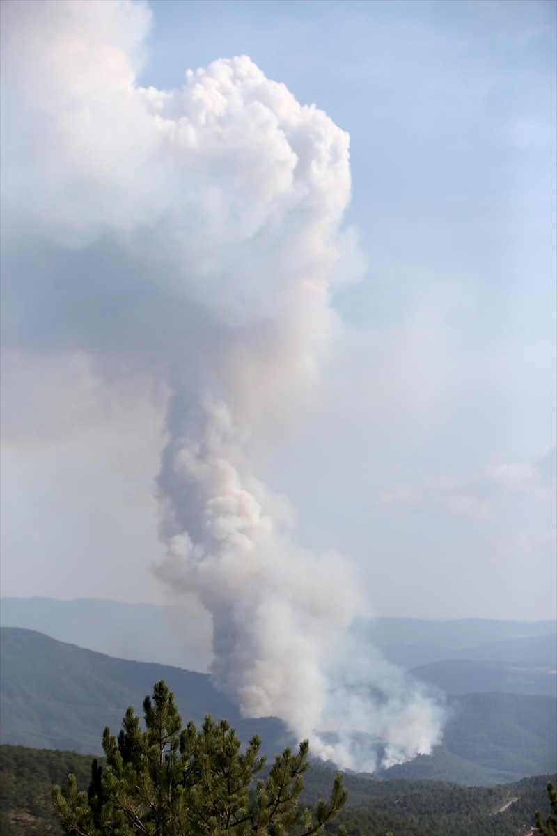 Kastamonu'nun Araç ilçesi Karabük sınırında ormanlık alanda yangın çıktı. Akgeçit köyü Karasu...