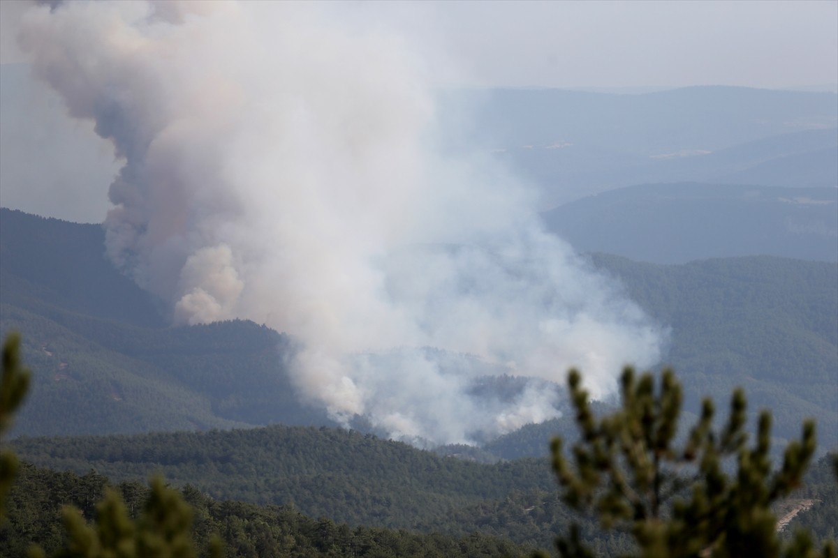 Kastamonu'nun Araç ilçesi Karabük sınırında ormanlık alanda yangın çıktı. Akgeçit köyü Karasu...