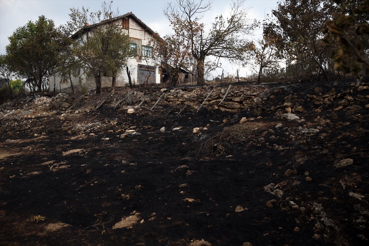 Kastamonu-Karabük sınırında kontrol altına alınan iki orman yangınını söndürme çalışmaları...