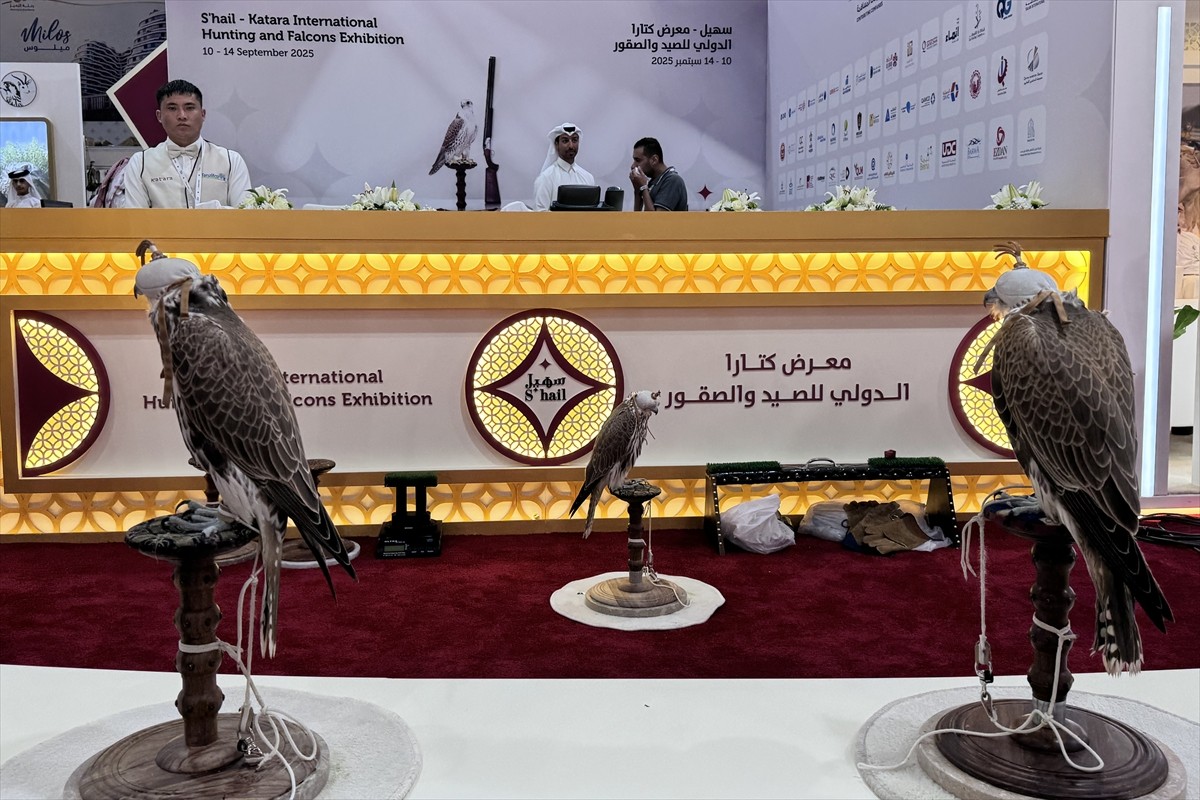 Katar'ın başkenti Doha'da "9. Uluslararası Avcılık ve Şahin" sergisi düzenlendi. Başkent Doha'daki...