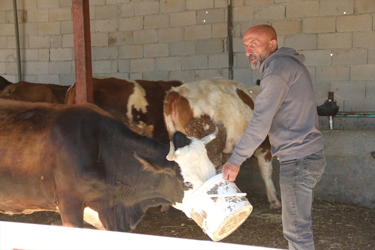 Kayseri'nin Felahiye ilçesinde yaşayan 55 yaşındaki eski hükümlü Oğuz Abbas, devlet desteğiyle 4...