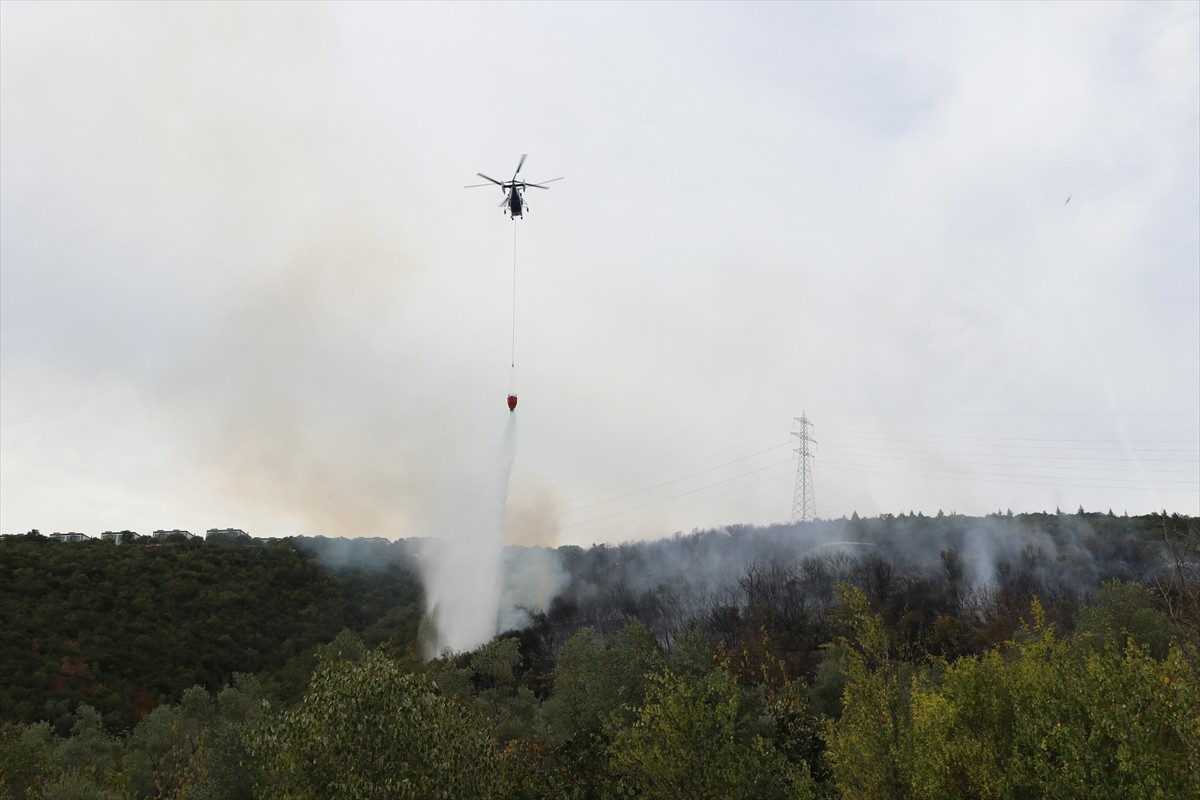 Kocaeli'nin İzmit ilçesinde ormanlık alanda çıkan yangın havadan ve karadan müdahaleyle kontrol...