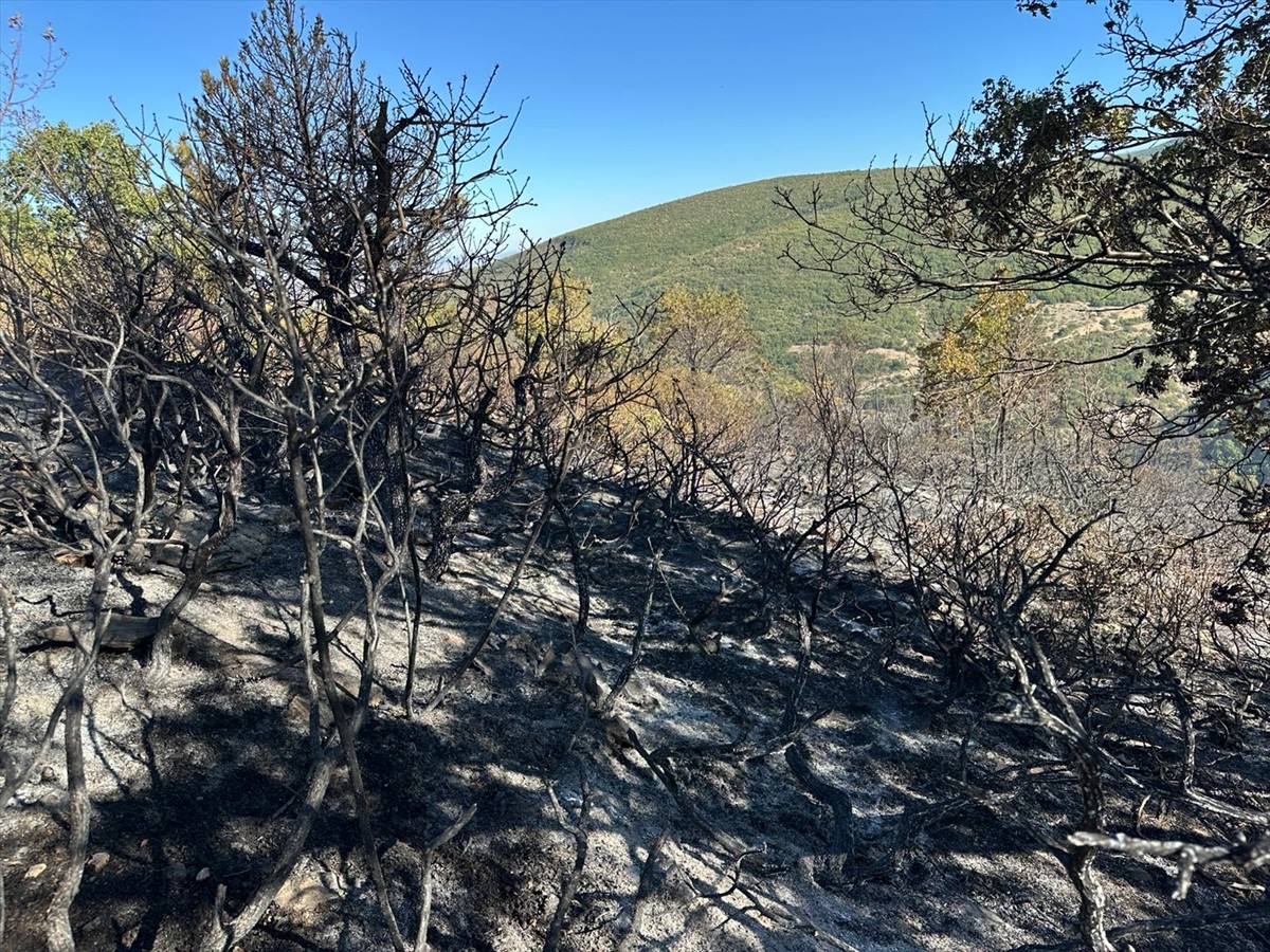 Konya'nın Akşehir ilçesinde ormanlık alanda çıkan yangın itfaiye ekiplerinin müdahalesiyle...