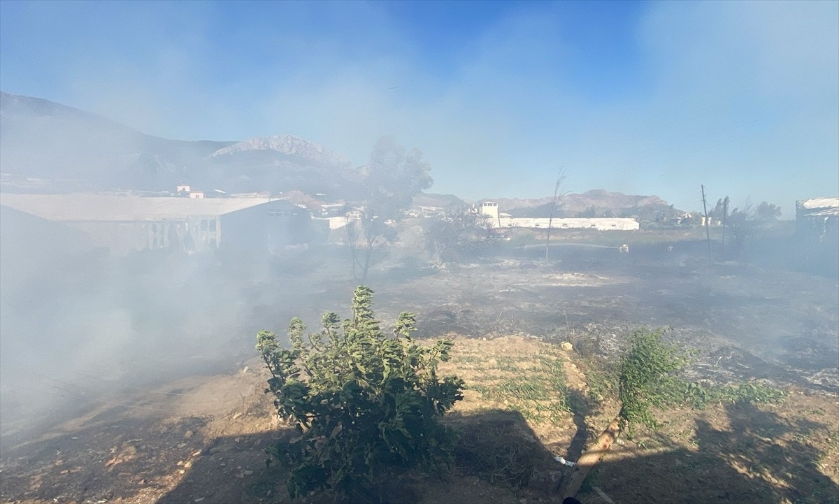 Mersin'in Bozyazı ilçesinde elektrik telinin kopması sonucu serada çıkan yangın...