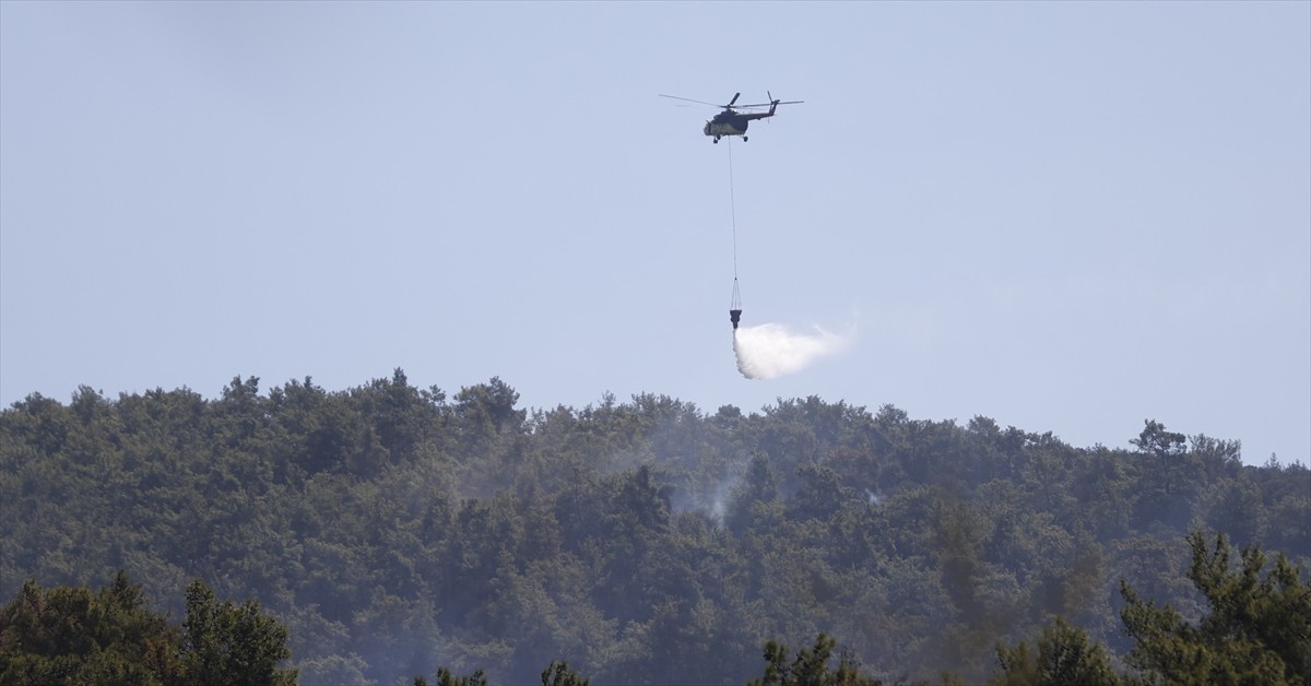Muğla'nın Milas ilçesinde çıkan orman yangınına ikinci gününde de havadan ve karadan müdahale...