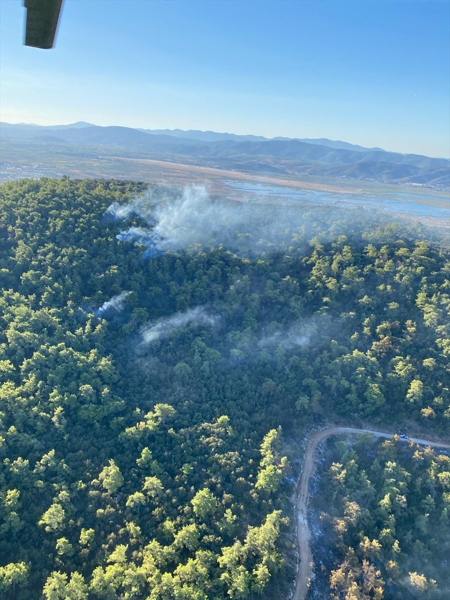 Muğla'nın Milas ilçesinde çıkan orman yangınına ikinci gününde de havadan ve karadan müdahale...