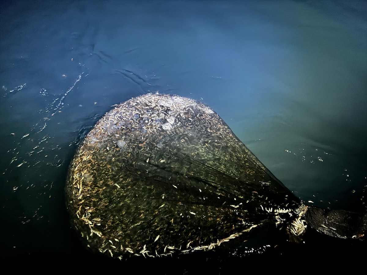 Ordu'da balıkçılar, denizlerde av yasağının sona ermesiyle "vira bismillah" diyerek Karadeniz'in...