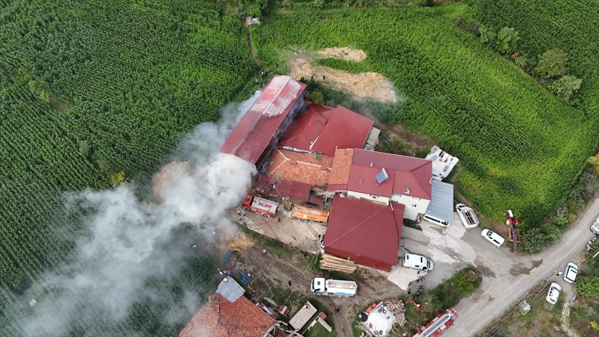 Samsun'un Alaçam ilçesinde samanlıkta çıkan yangın itfaiye ekiplerince söndürüldü.