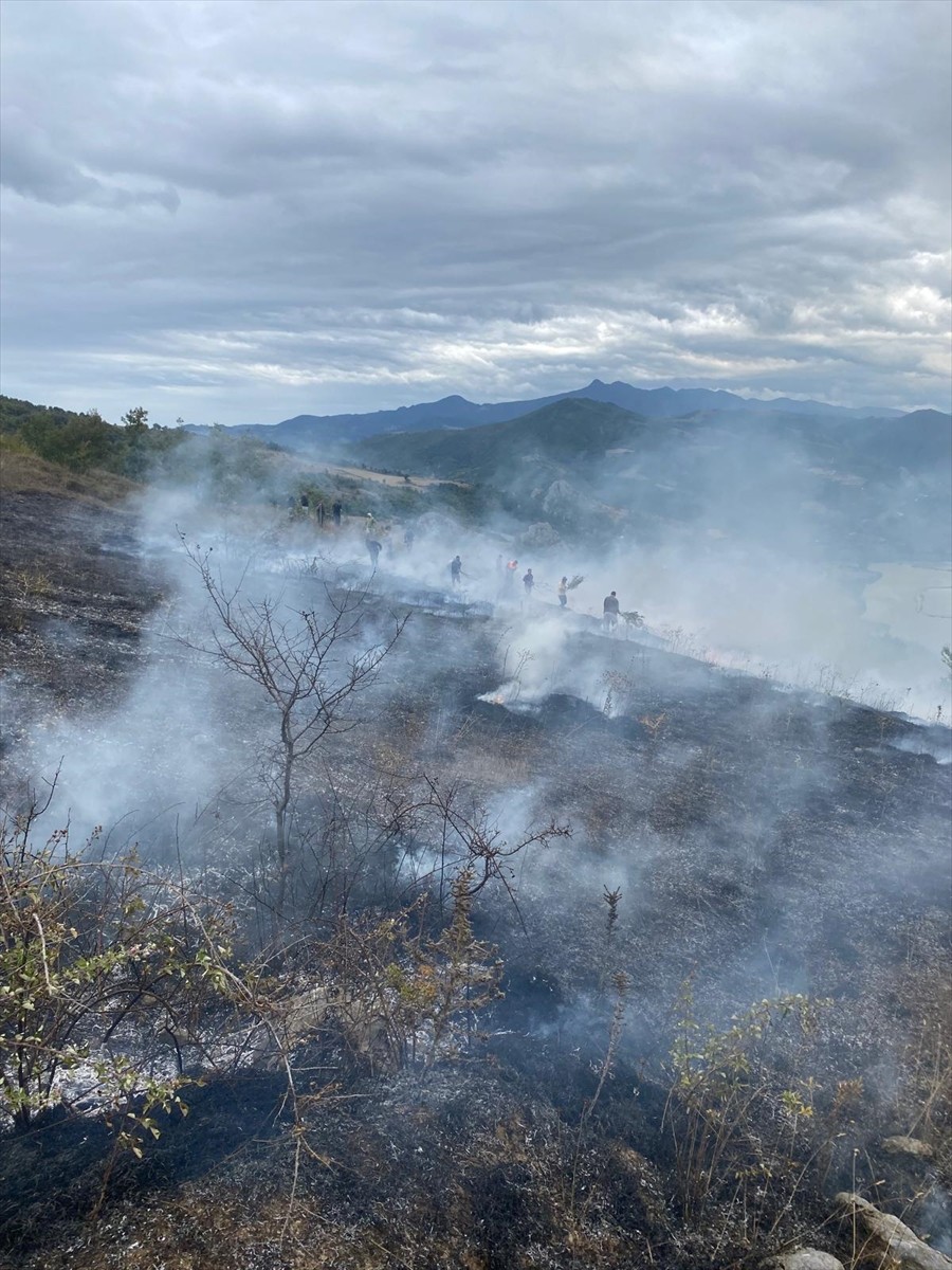 Samsun'un Bafra ilçesinde çıkan örtü yangını söndürüldü.