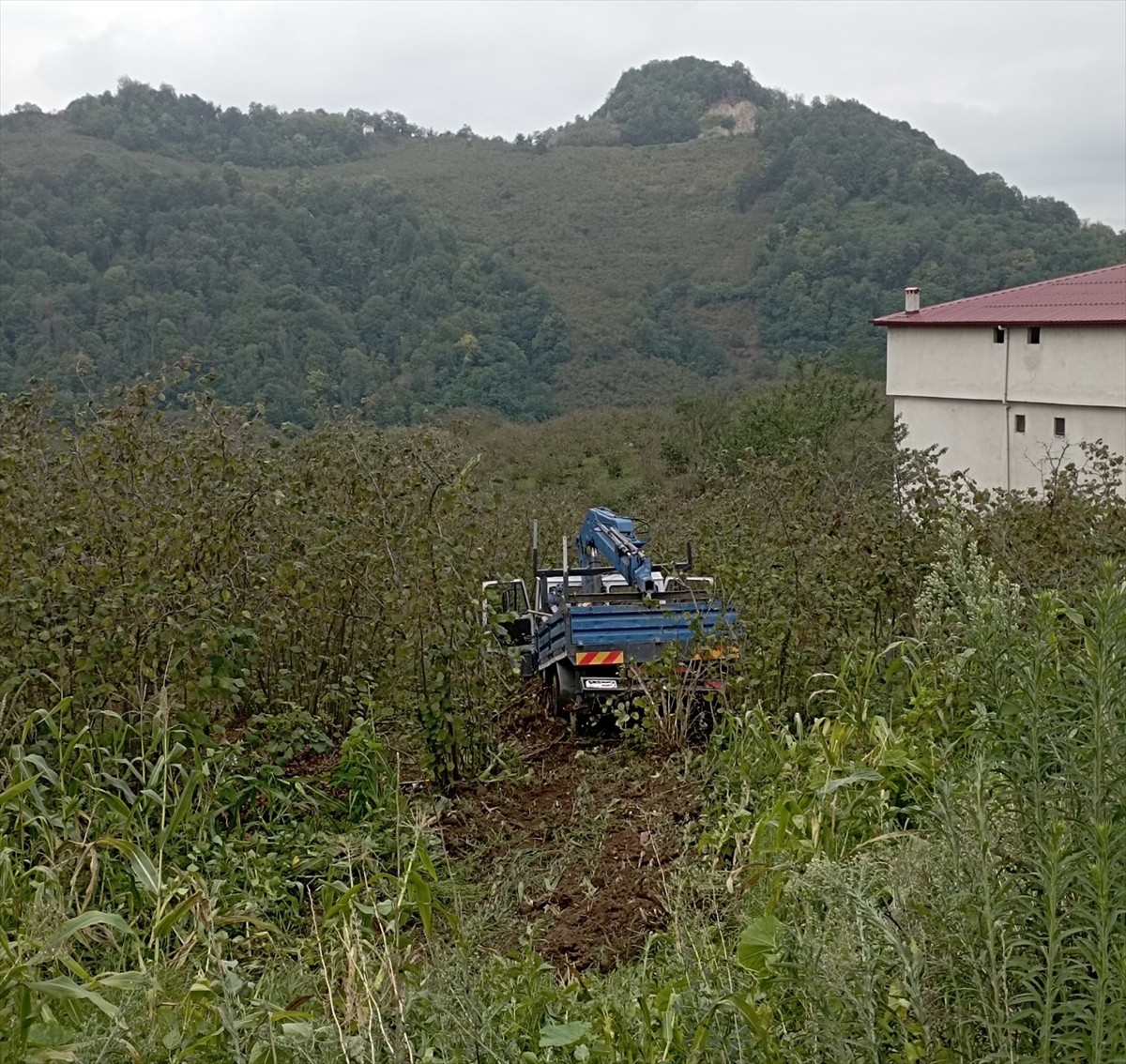 Samsun’un Salıpazarı ilçesinde kamyonetin fındık bahçesine yuvarlanması sonucu 3 kişi...