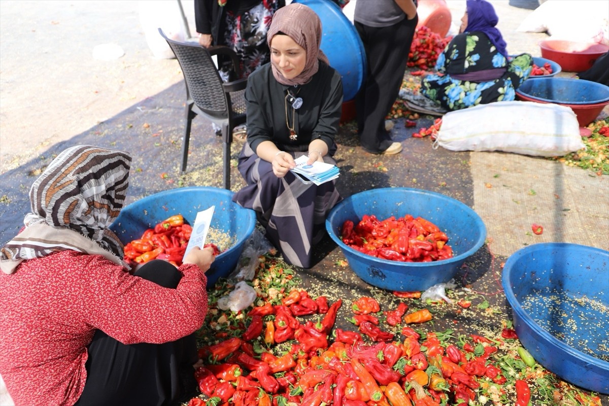 Şanlıurfa'da doktorlardan ve hemşirelerden oluşan ekipler, mevsimlik tarım işçilerine çalıştıkları...