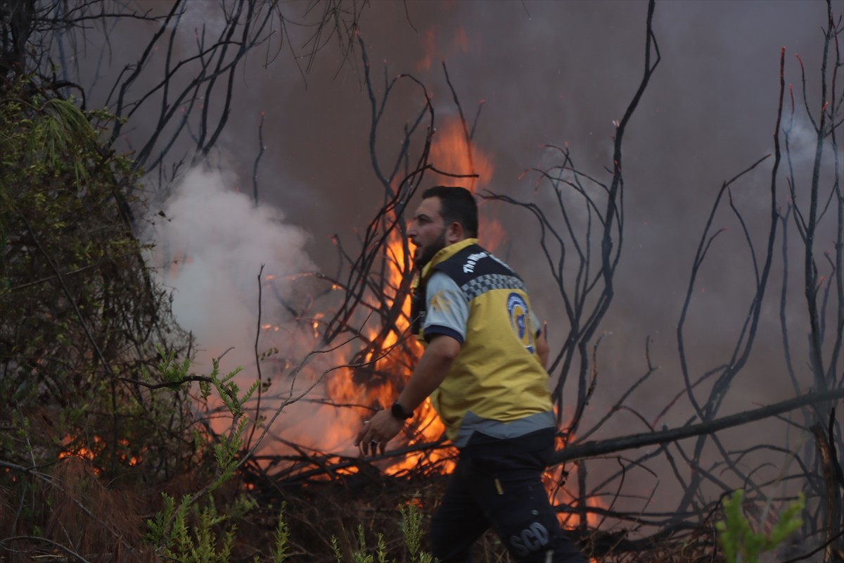 Suriye'nin kuzeybatısında yer alan Lazkiye iline bağlı Bayırbucak bölgesinde 2 gündür devam eden...