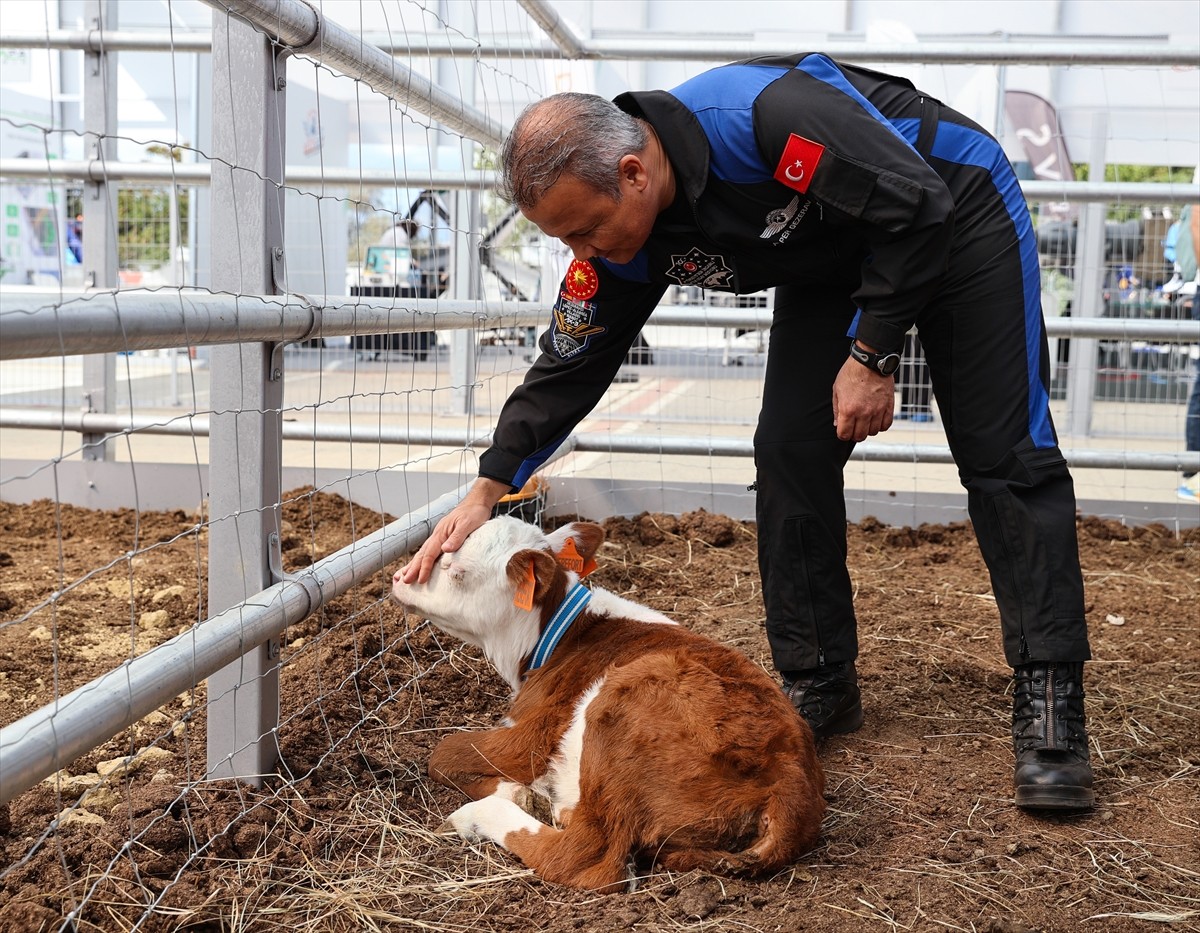 TEKNOFEST İstanbul'da "akıllı tarım" teknolojileriyle öne çıkan Tarım Teknolojileri Kümelenmesi...