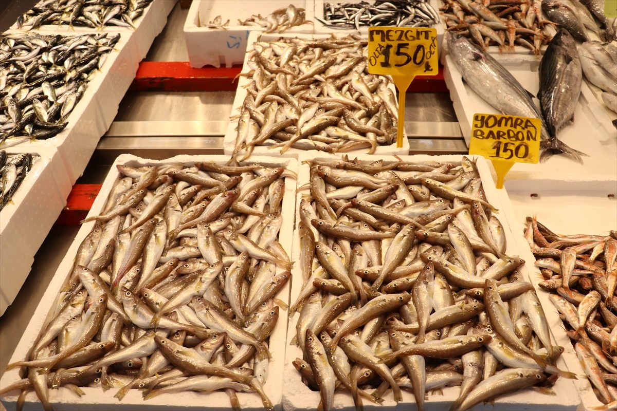 Trabzon'da hafta sonu tezgahları süsleyen mezgitin kilogramı 150, istavritin ise 100 liradan...