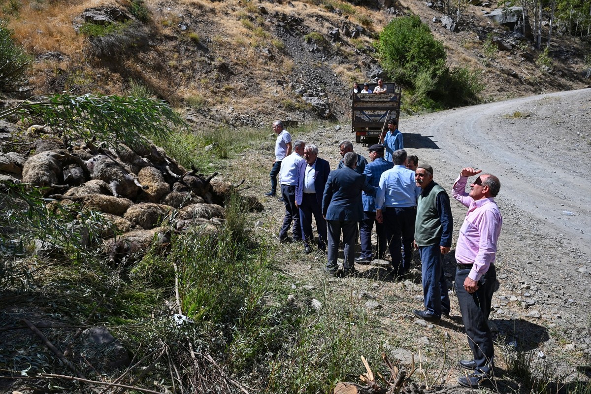 Van'ın Çatak ilçesinde kayalık alandan düşen 334 küçükbaş hayvan telef oldu.