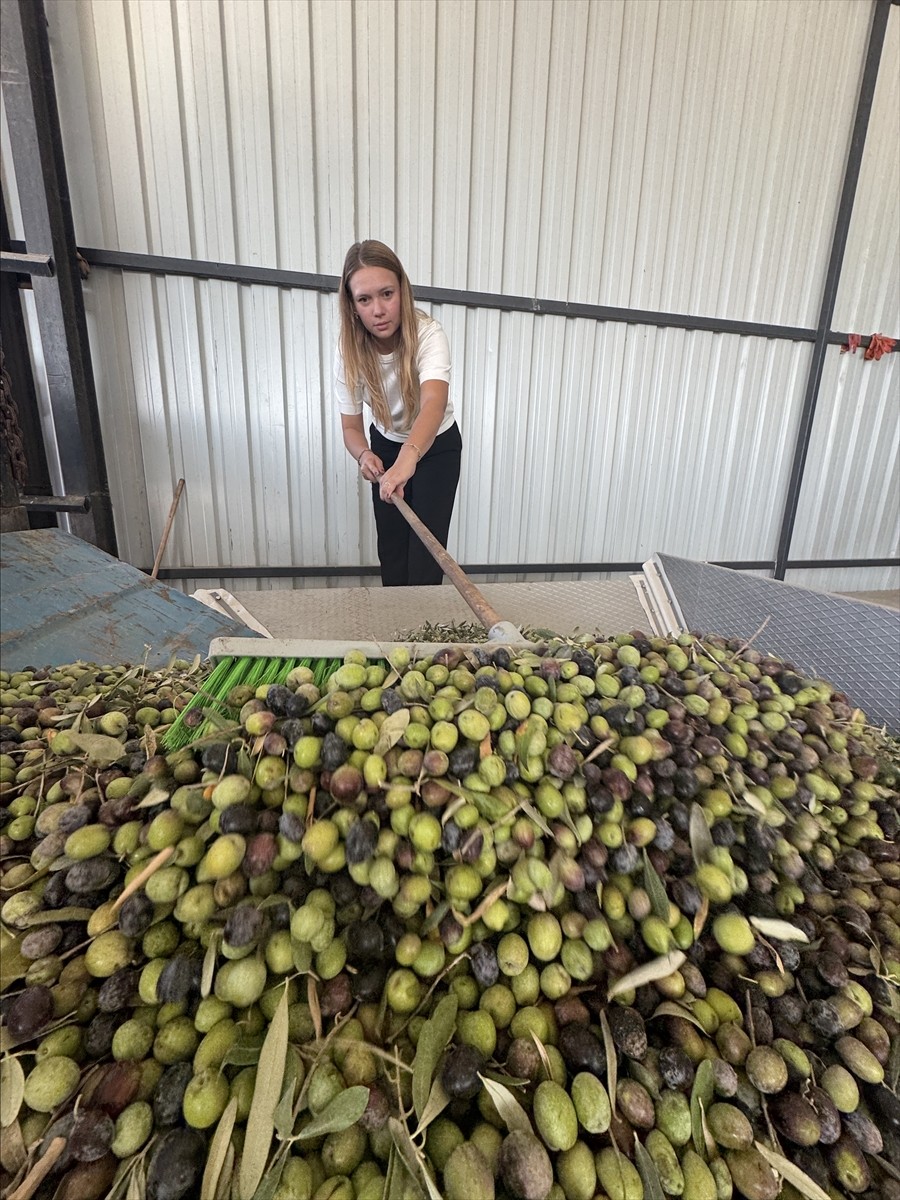 Adana'da 6 kuşaktır çiftçilik yapan ailesinin tarımsal faaliyetlerini yürüten Nihan Işık Yücel...