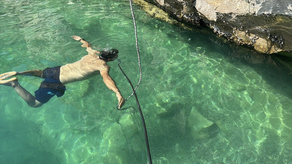  Adıyaman'ın Kahta ilçesinde Atatürk Barajı kıyısında balıkçılar tarafından tesadüfen keşfedilen...