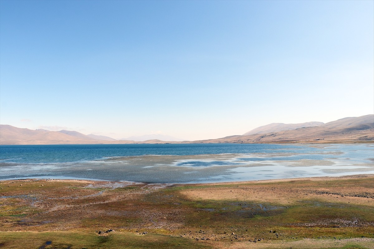 Ağrı'nın Taşlıçay ilçesinde bulunan yüksek rakımlı Balık Gölü'nde iklim değişikliği ve beşeri...