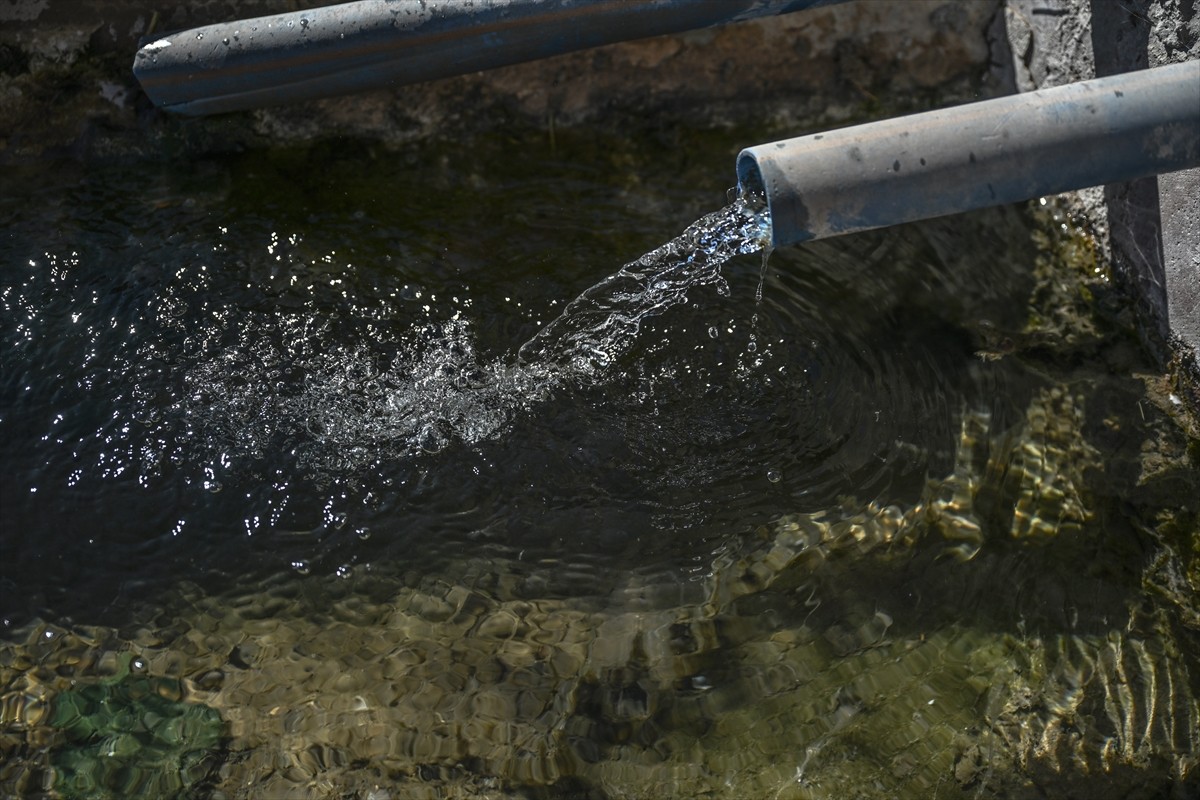 Ankara'nın Yenimahalle ilçesinde yaşanan su kesintisinden etkilenen vatandaşlar çevredeki...