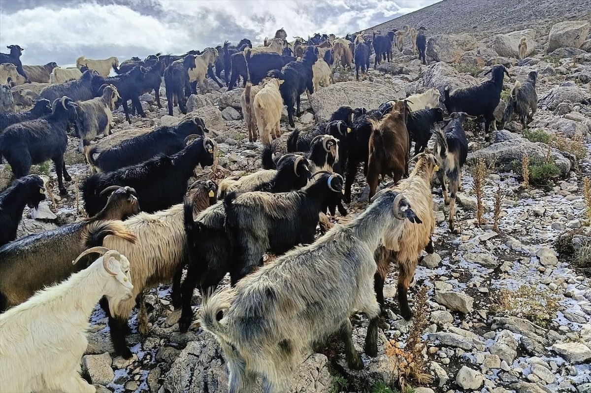 Antalya'nın Kaş ilçesindeki yüksek kesimlere mevsimin ilk karı düştü.