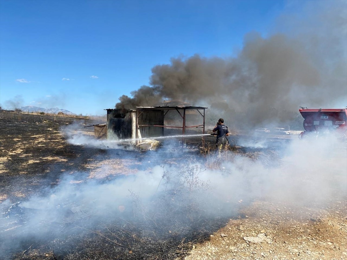 Antalya'nın Serik ilçesinde güvercin kulübesinde çıkan yangında 25 güvercin telef oldu.