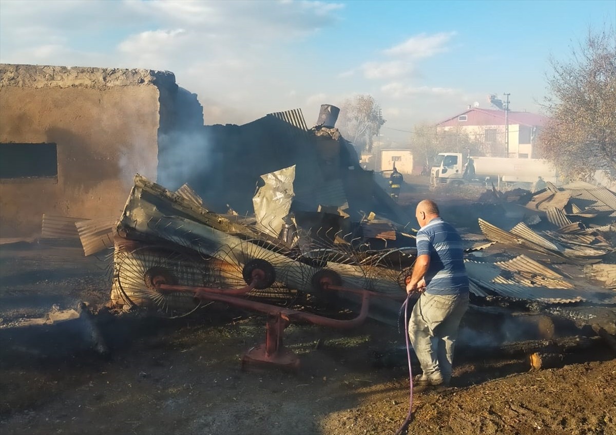 Ardahan'da ahırda çıkan yangında 15'i küçük, 23 hayvan telef oldu.