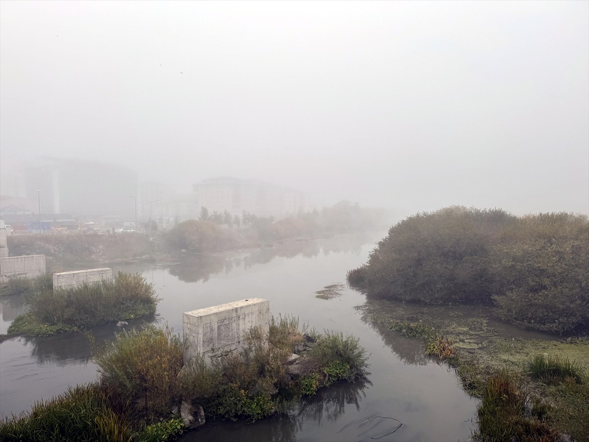 Ardahan'da etkili olan sis görüş mesafesini düşürdü.