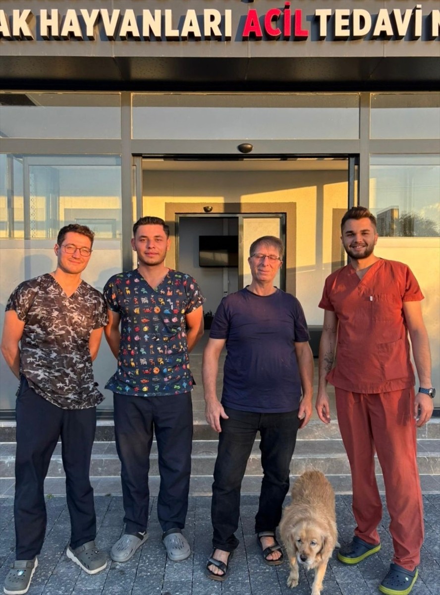 Balıkesir'de ameliyata alınan "Gofret" isimli sahipsiz köpeğin idrar kesesinden 147 taş...