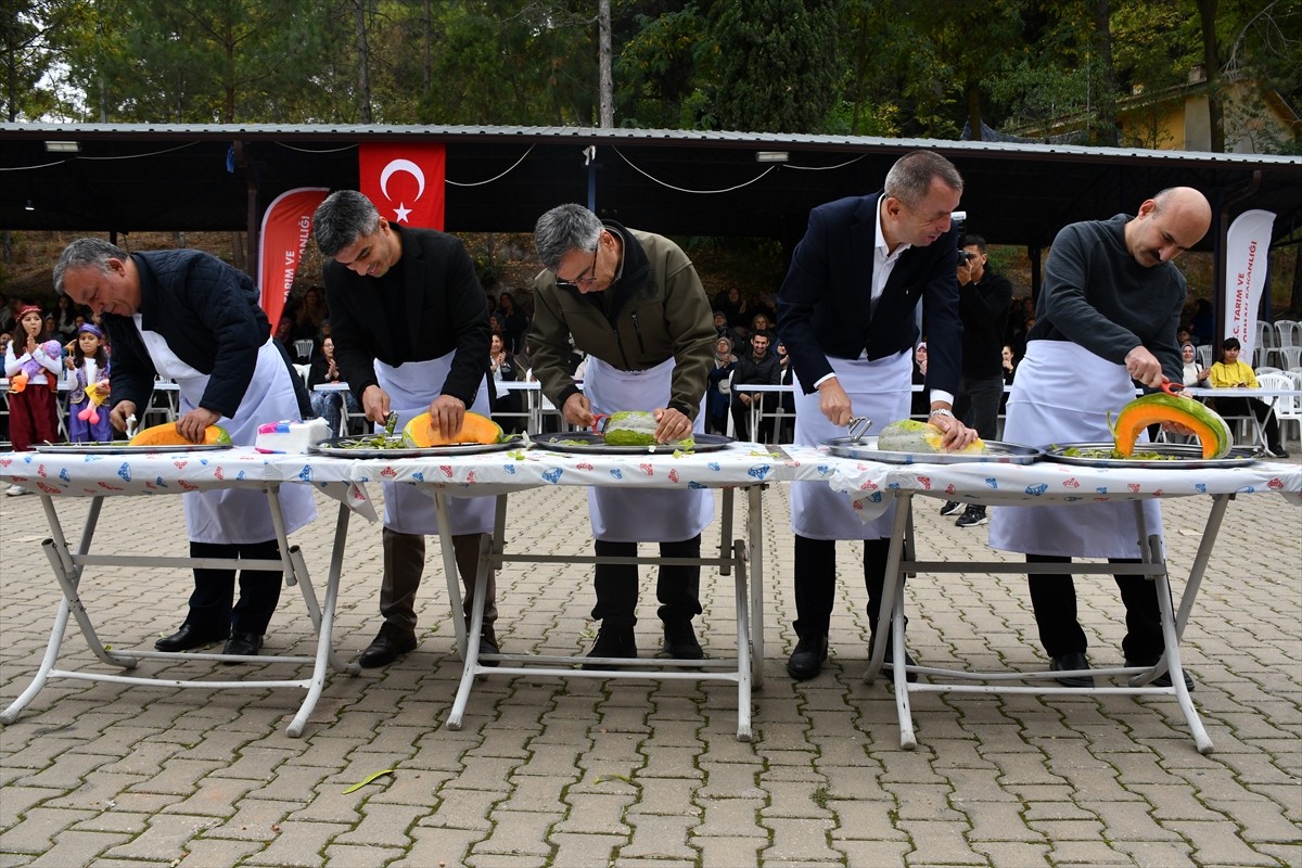 Bilecik'te, bu yıl 8'incisi gerçekleştirilen Kızıldamlar Kestane Kabağı Festivali düzenlendi....